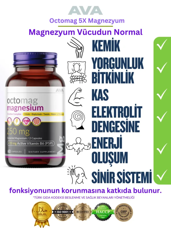 octomag sağlık beyanı