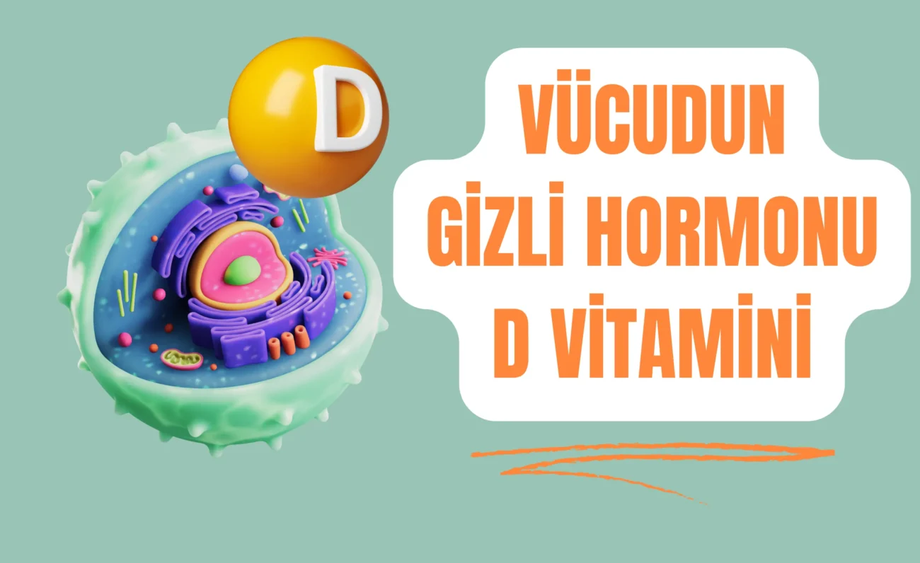 D VİTAMİNİ