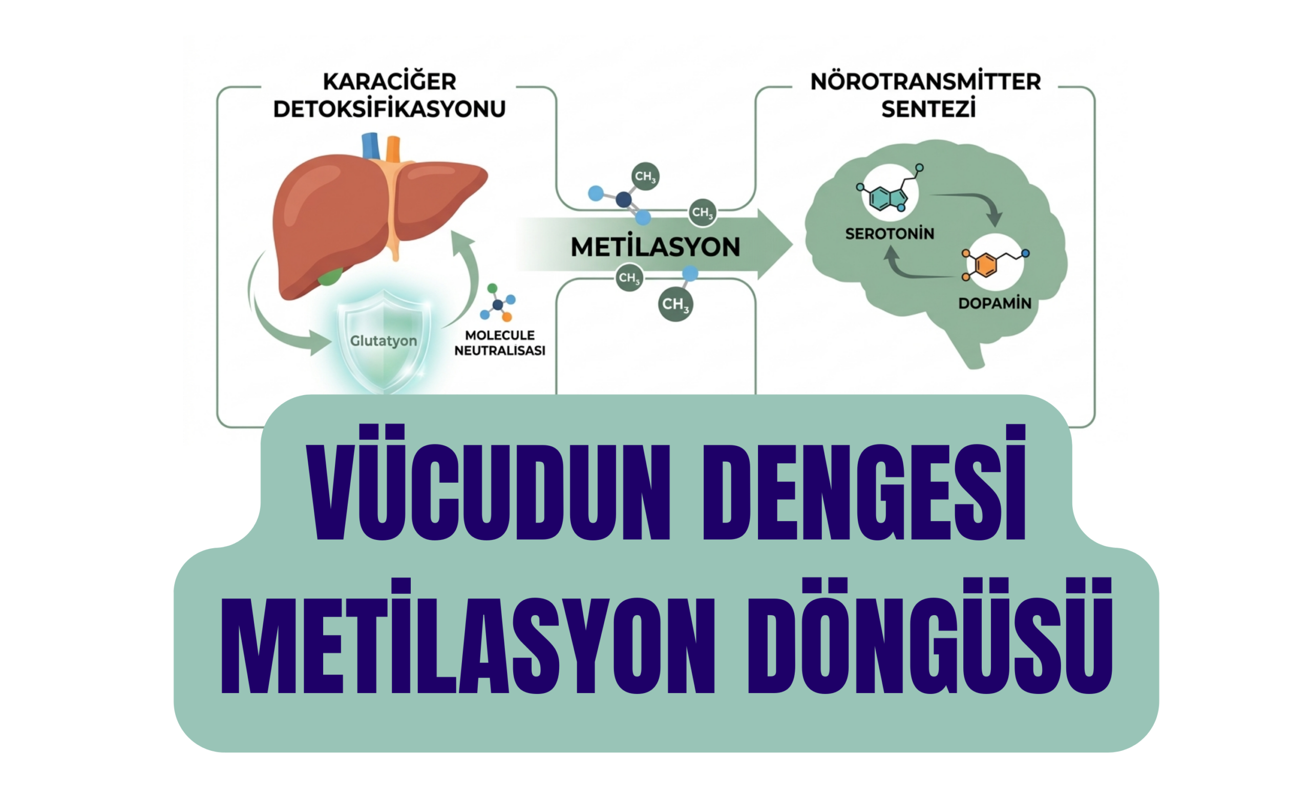 METİLASYON